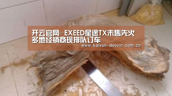 开云官网-EXEED星途TX未售先火 多地经销商现排队订车(图1) 赛事数据